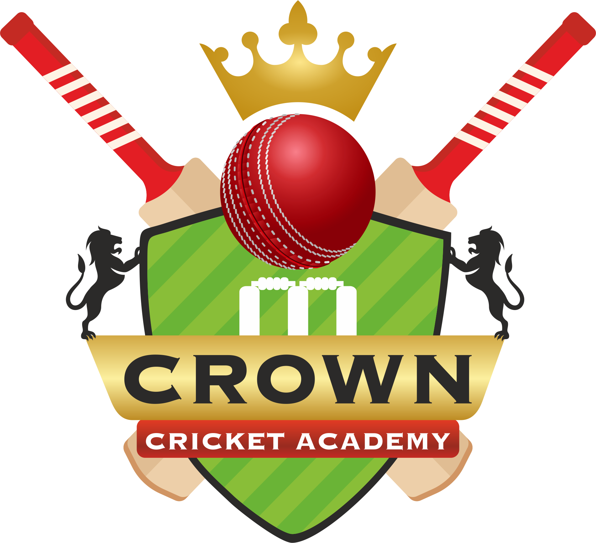 Crown Cricket Academy (Color)